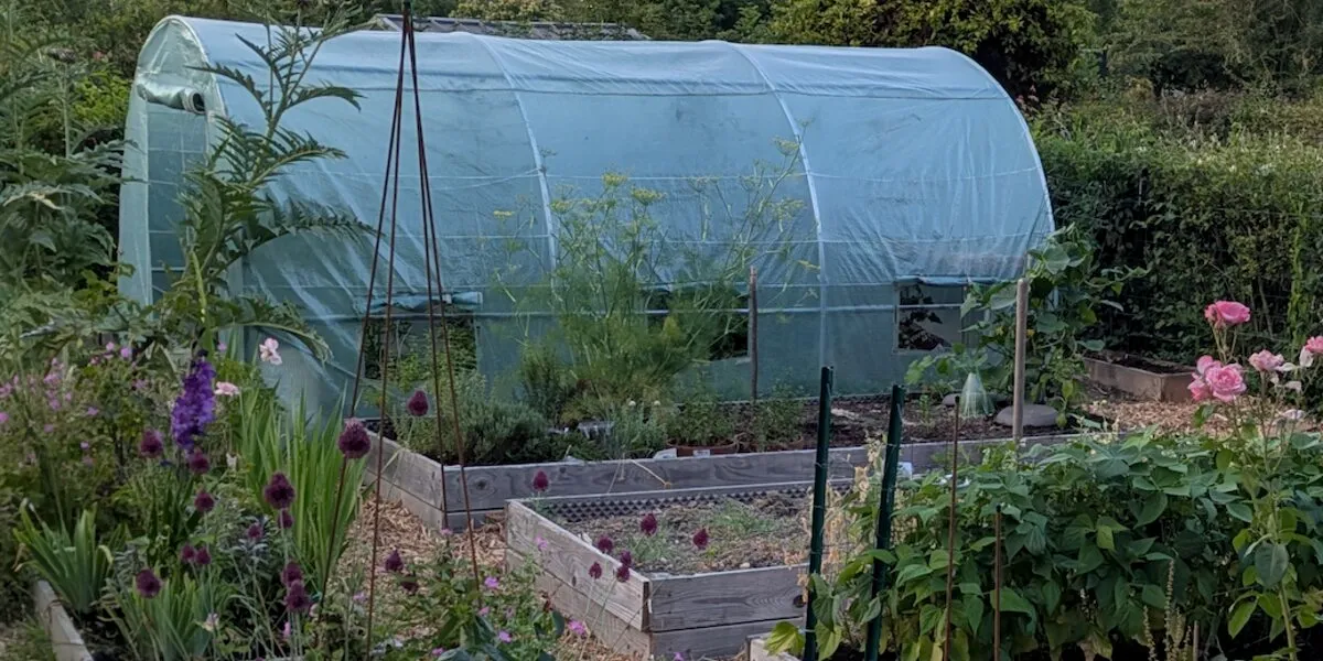 Newsletter The French Garden