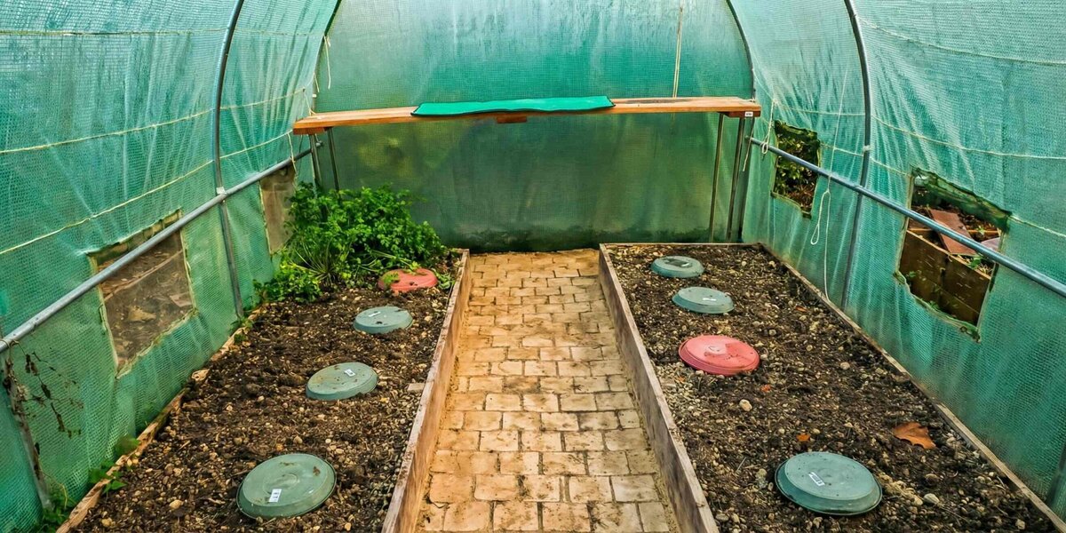 Intérieur d’une serre de jardin nettoyée avant l’hiver, avec bacs de culture remis en ordre et allée centrale dégagée pour préparer la saison suivante.